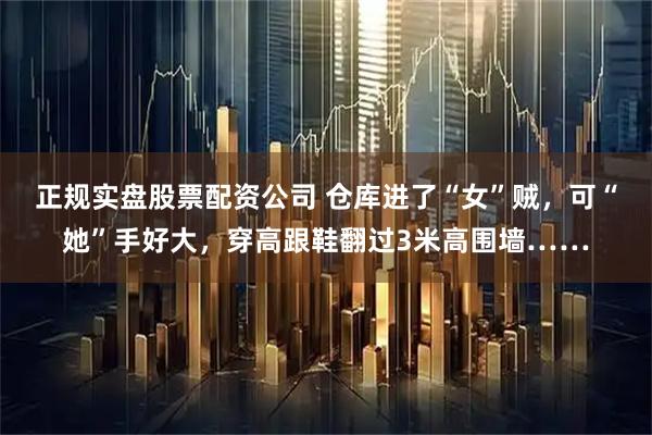 正规实盘股票配资公司 仓库进了“女”贼，可“她”手好大，穿高跟鞋翻过3米高围墙……